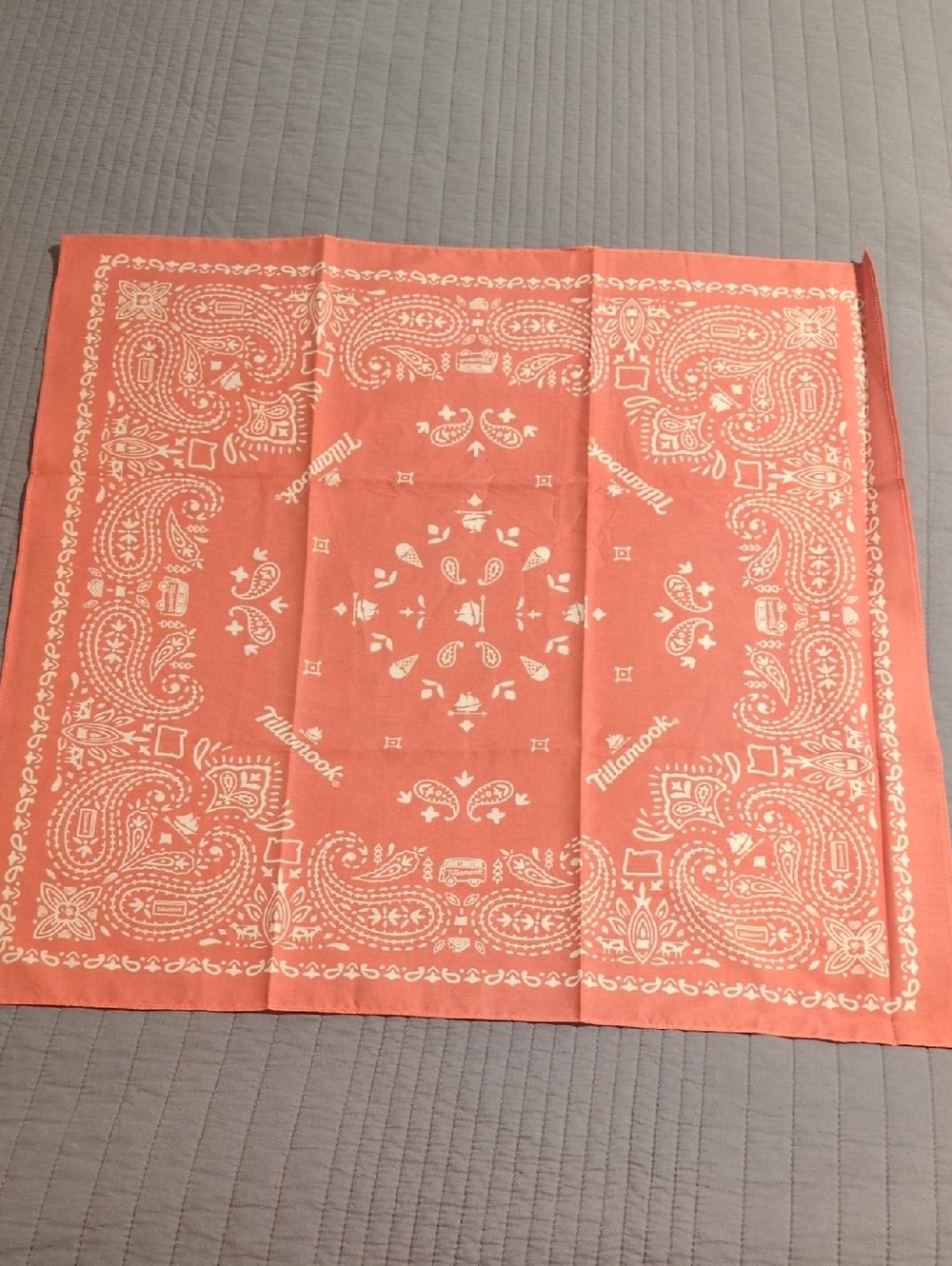 Tillamook Coral Paisley Bandana - Stylish Cotton Scarf